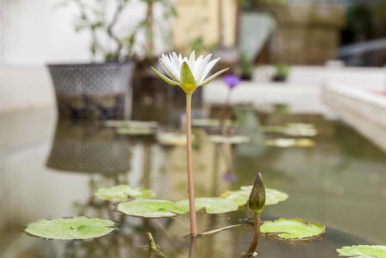 Central Boutique Hotel Vientiane Eksteriør billede